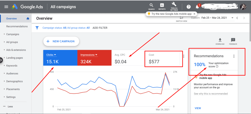 Google Ads Management