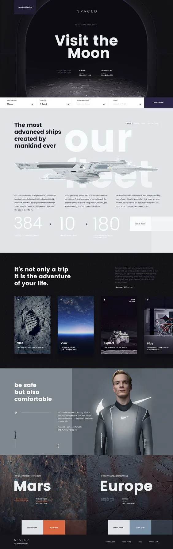 WordPress website 10