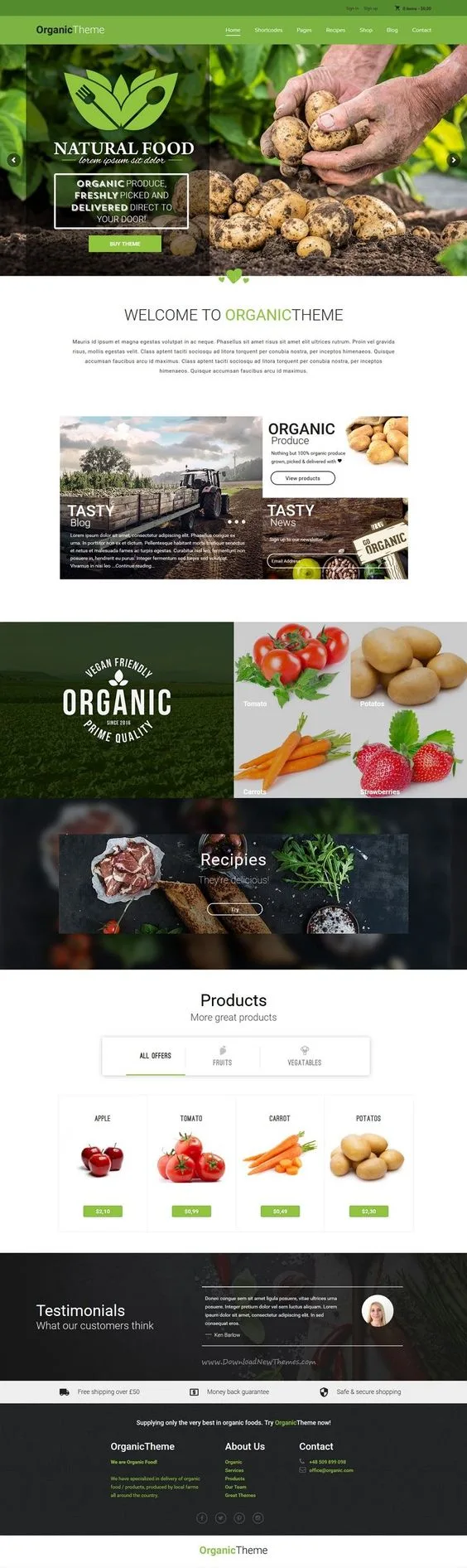 WordPress website 4